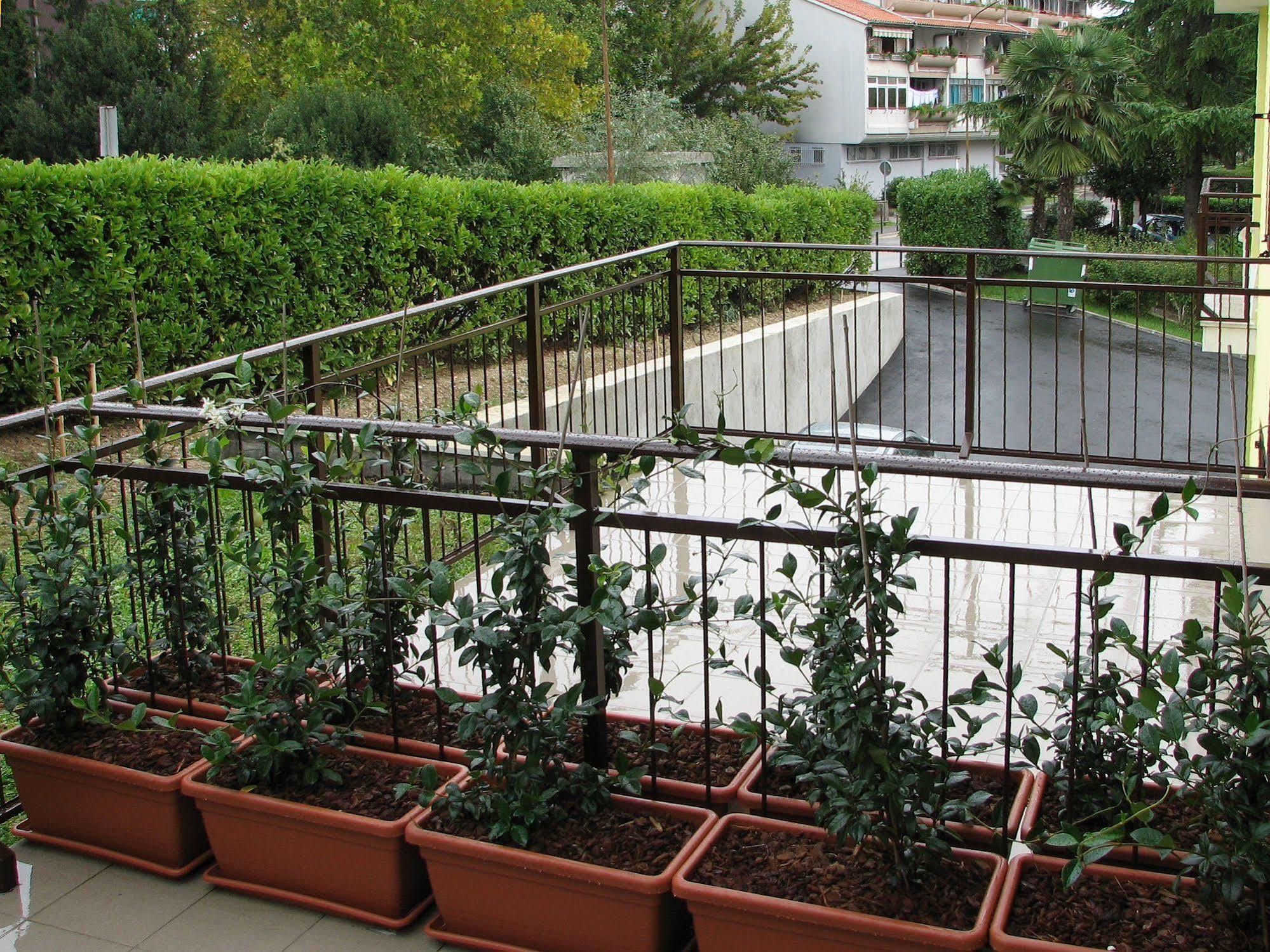 Garni Hotel Keltika Izola Ngoại thất bức ảnh